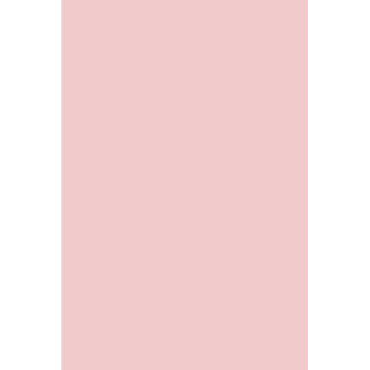 Gel Polish 200 Andreia Professional