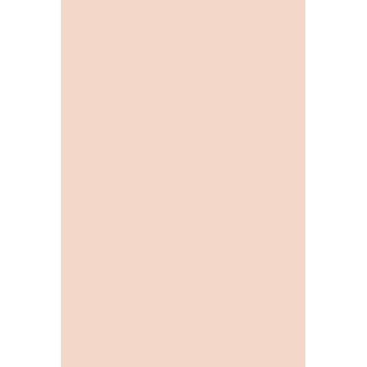 Power Base Nude Andreia Professional